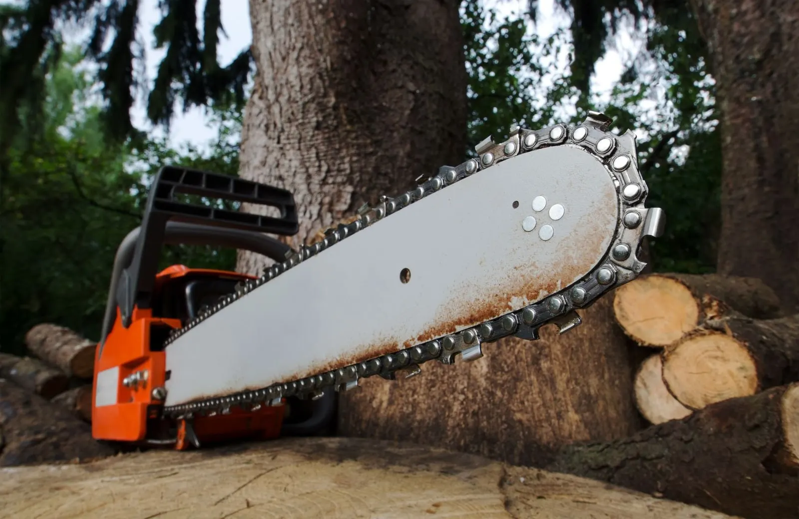 A chainsaw beside cut log rounds after a tree removal and stump grinding job