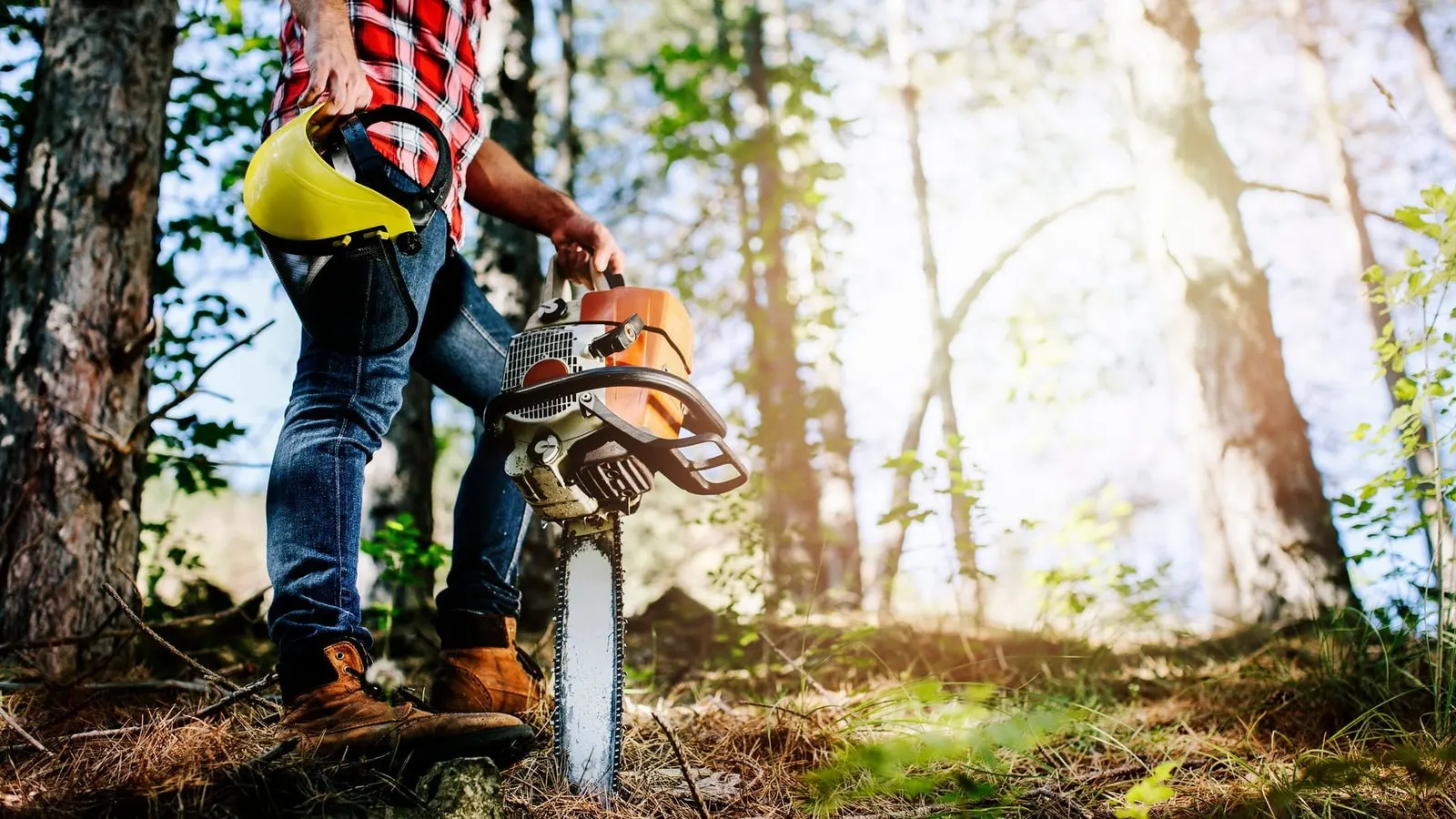 A tree worker in safety gear felling a large tree with a chainsaw